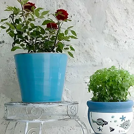 فندق Alura Boutique ألاتشاتي